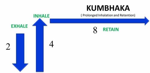 Basic four Pranayama | Sunyaka, Puraka, Kumbhaka , Rechaka