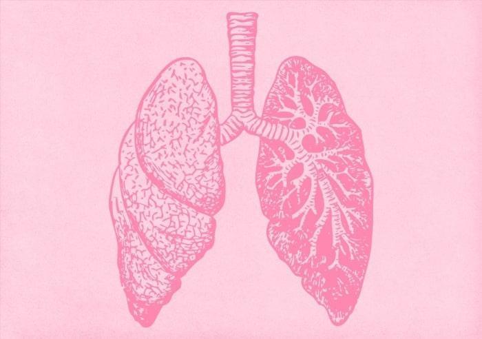 Breathing Process in lungs