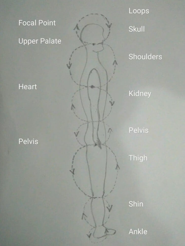How important is the correct Alignment in Yoga Practice - Issuu