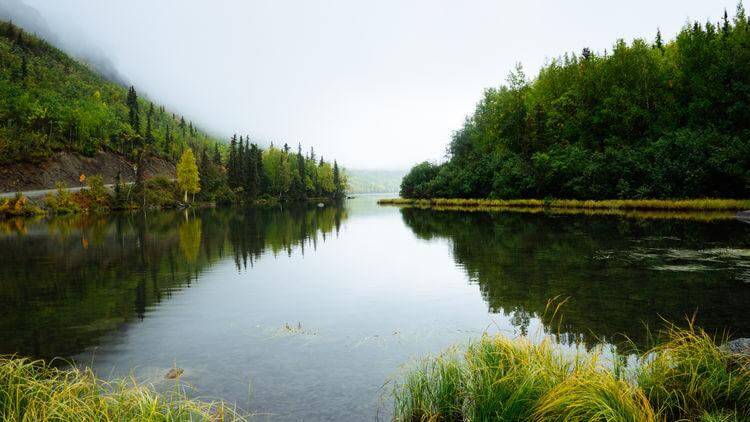 Meditation clams the mind like a placid lake