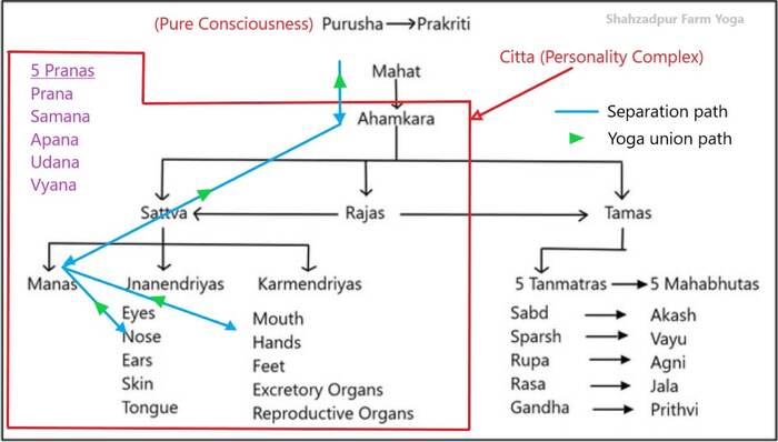 Meaning of yoga