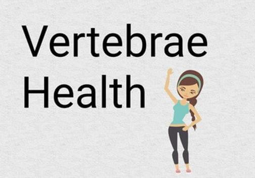 Yoga for Vertebrae health