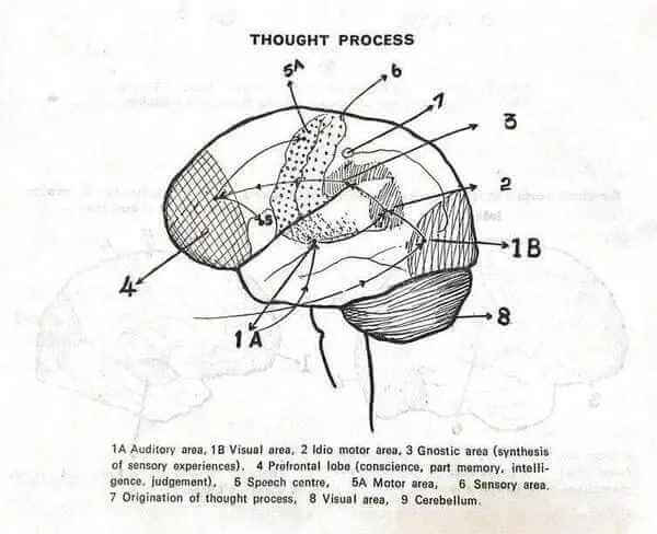 Thought process